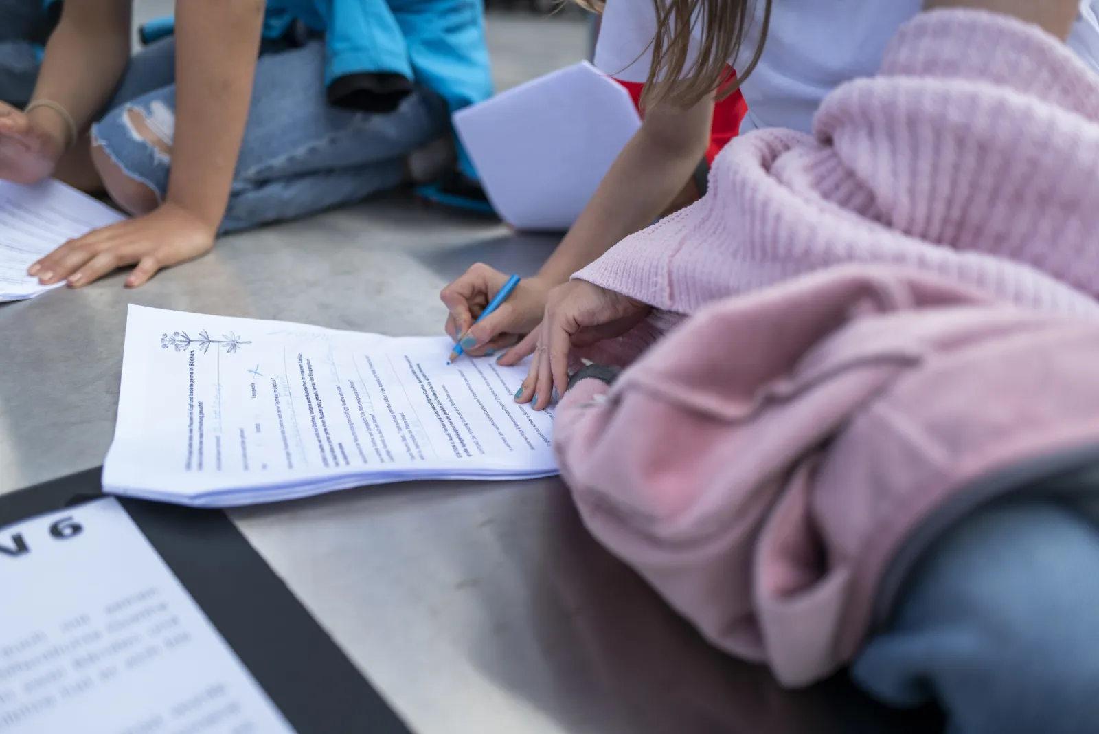 Angebote für Schulklassen