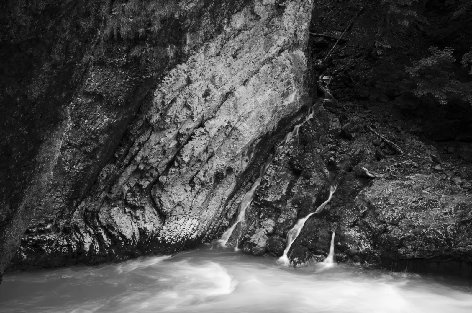 Norbert Rosing: My Wilderness