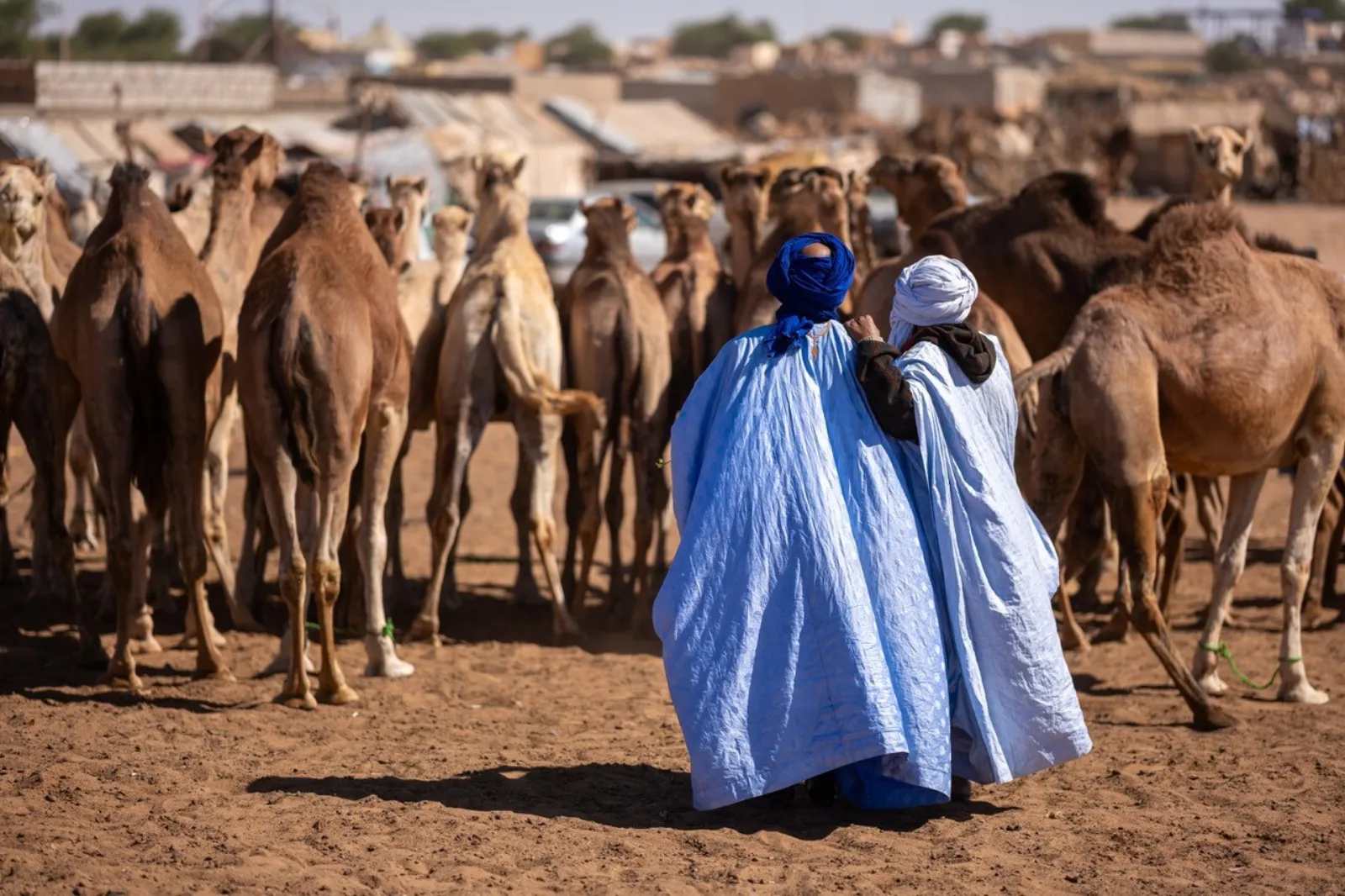 Mauretanien – mit dem Erzzug in die Sahara